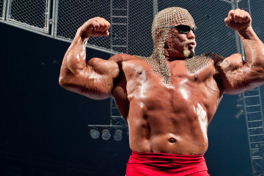 scott steiner net worth